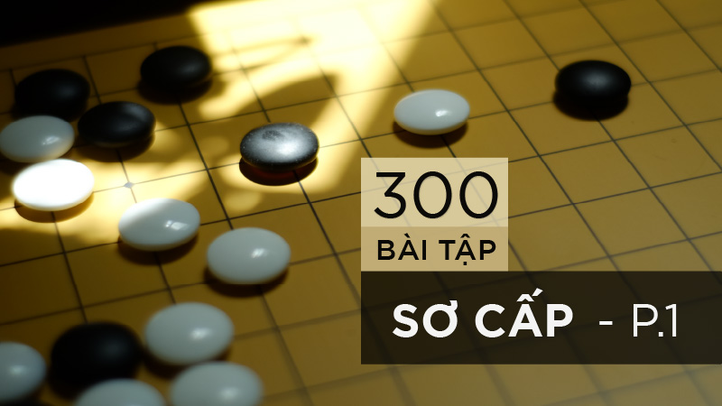300 bài tập cờ vây sơ cấp